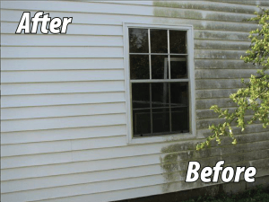 before and after - see the mold disappear