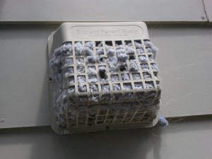 Are You Keeping Your Dryer Vent Clean?