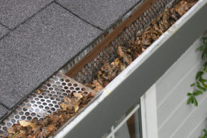 Clogged Gutter