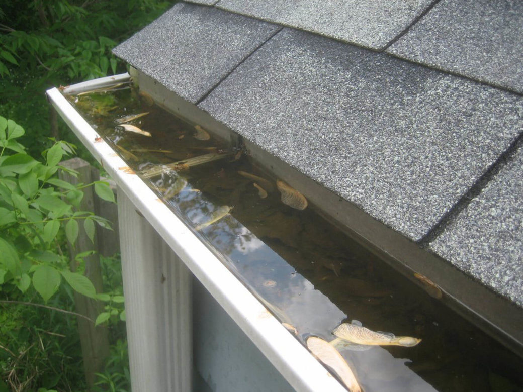 Gutter Cleaning