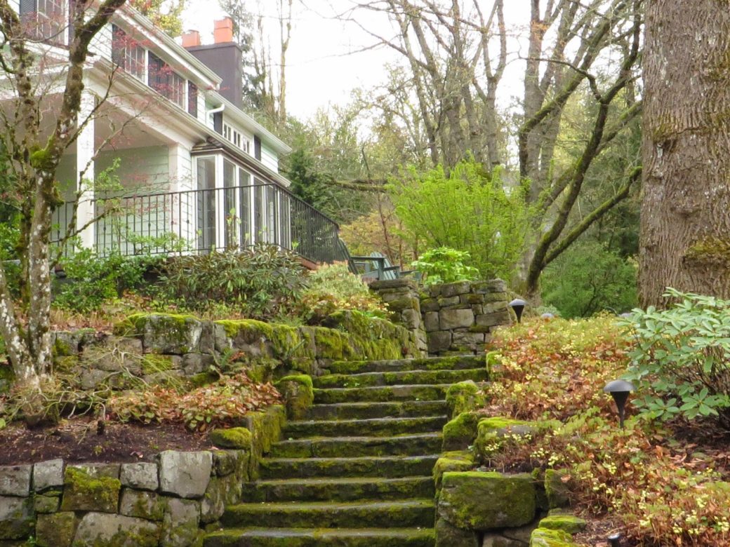 Moss on stairs